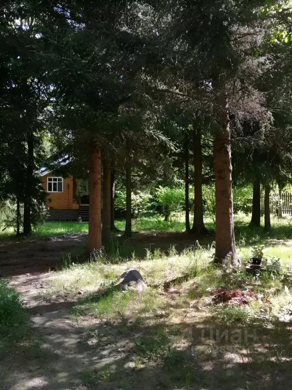 Дом в Московская область, Дмитровский муниципальный округ, д. Лупаново ... - Фото 2