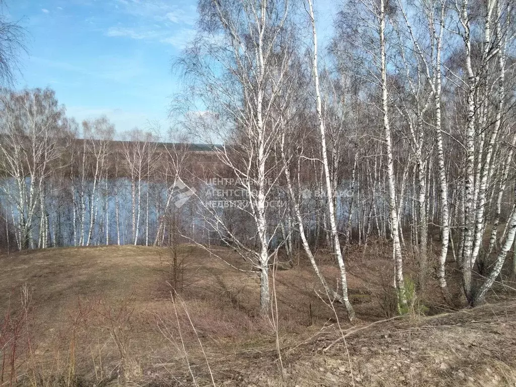 Участок в Рязанская область, Касимовский муниципальный округ, с. ... - Фото 1