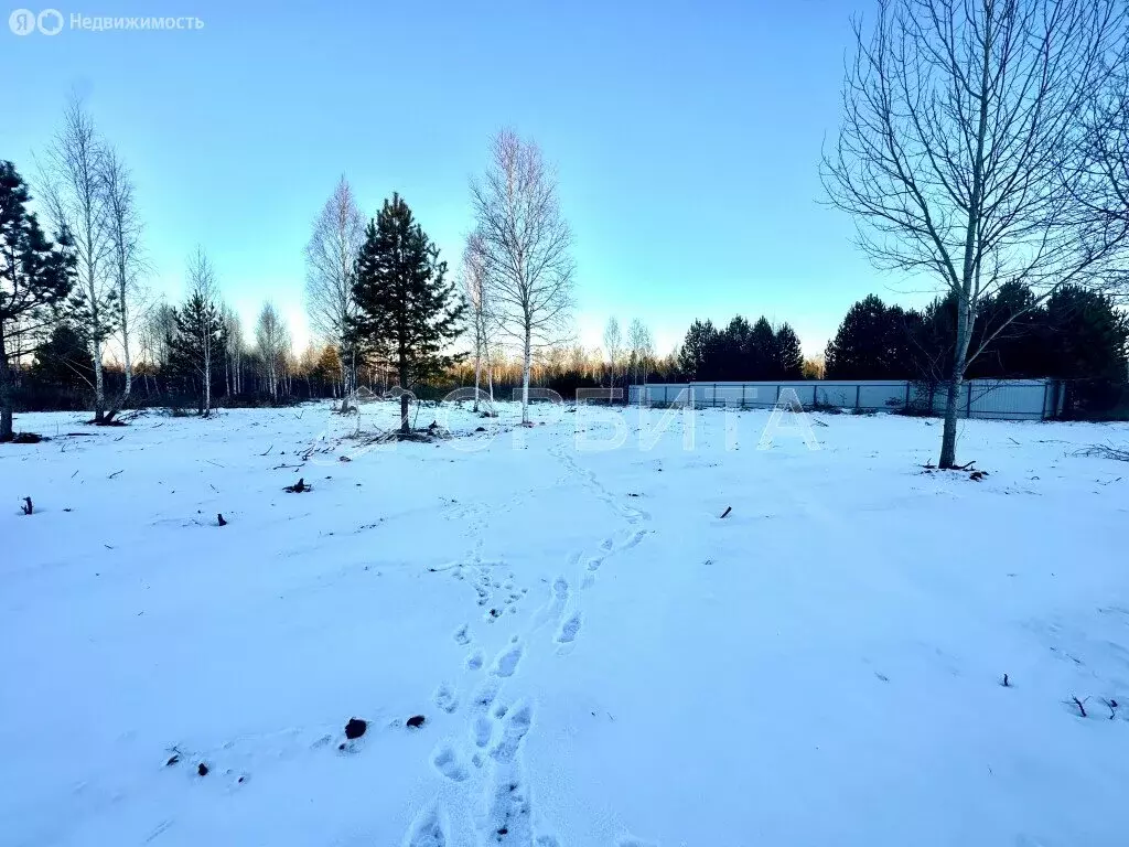 Участок в Тюменский район, деревня Головина (10 м) - Фото 0