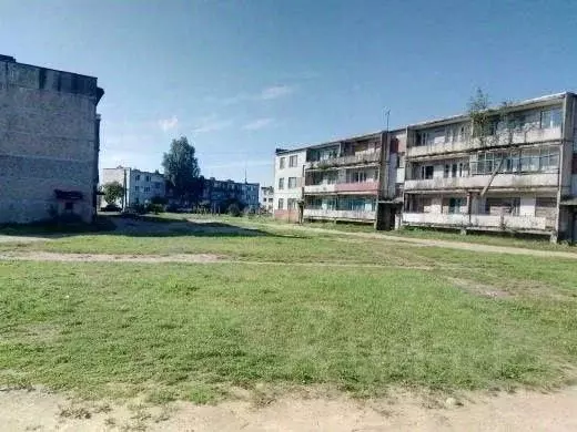 1-к кв. Псковская область, Новоржевский муниципальный округ, д. Выбор ... - Фото 1