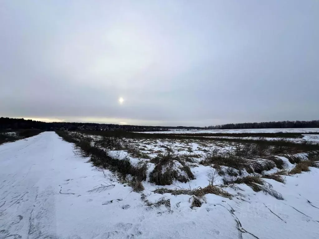 Участок в Московская область, Домодедово городской округ, с. ... - Фото 1