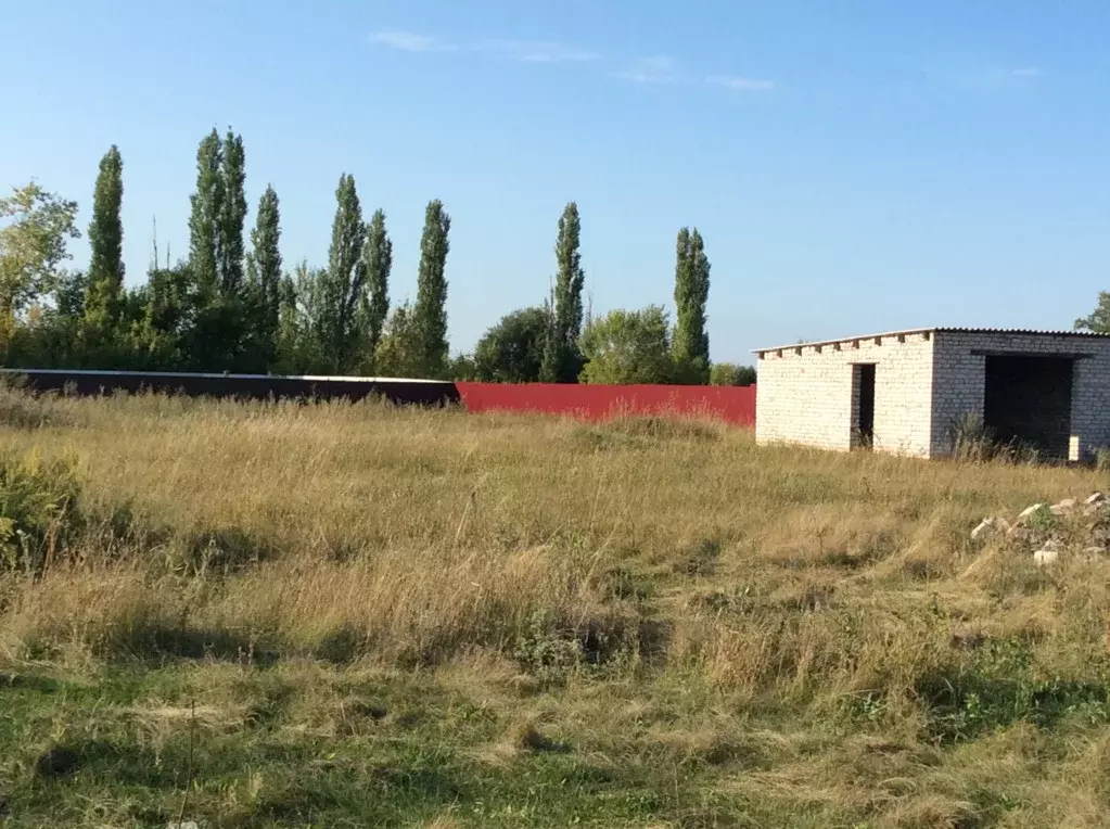 Отделение участок. Совхоз Масловский замок. Свх Масловский. 1 Отд свх Масловский. Замок в свх Масловский.