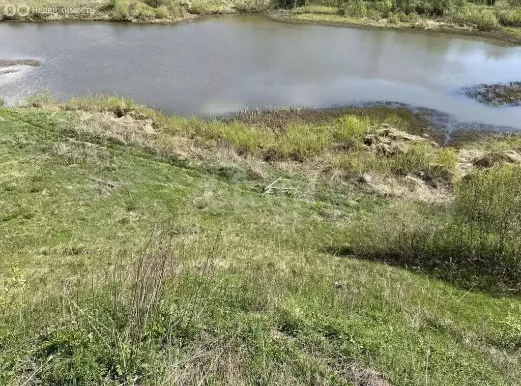 Участок в Ярославский муниципальный округ, деревня Кузнечиха ... - Фото 2