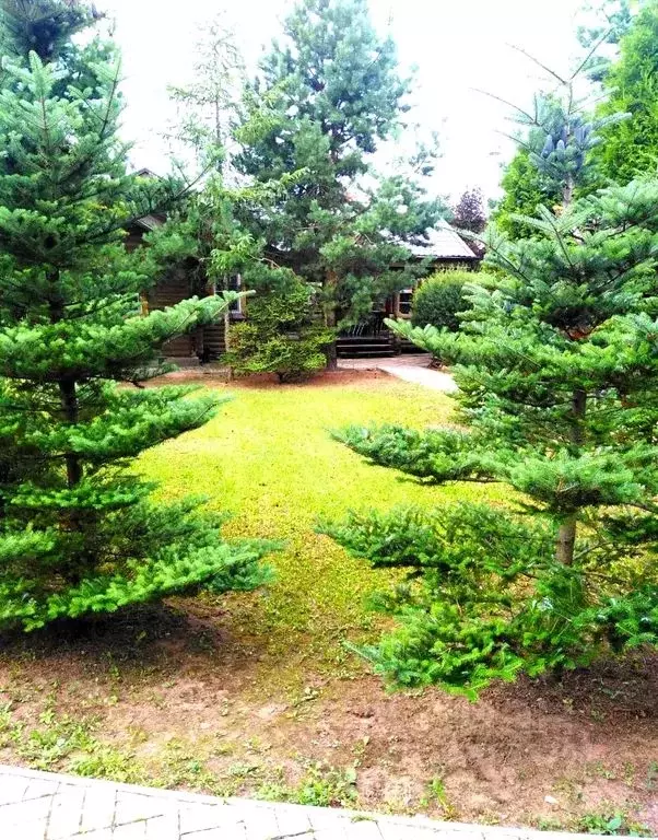 Дом в Московская область, Раменский муниципальный округ, пос. ... - Фото 2