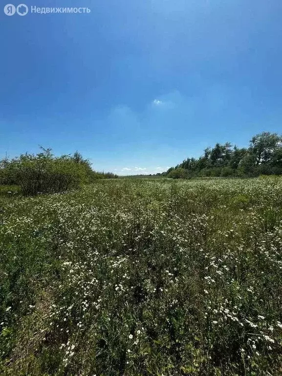 Участок в станица Ессентукская, Ручейная улица, 36 (600 м) - Фото 1