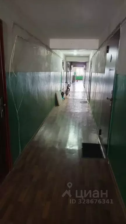 Комната Белгородская область, Белгород ул. Горького, 60 (19.0 м) - Фото 2
