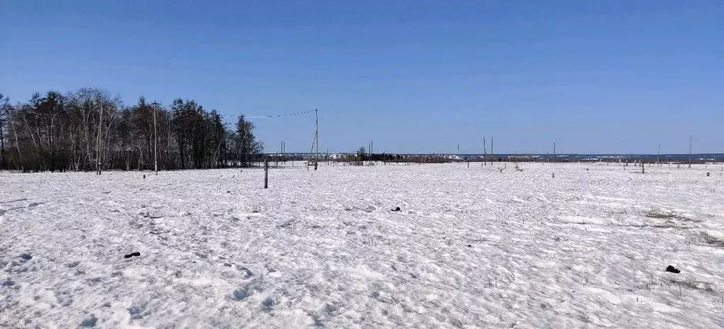 Участок в Саха (Якутия), Якутск городской округ, с. Сырдах  (10.0 ... - Фото 2