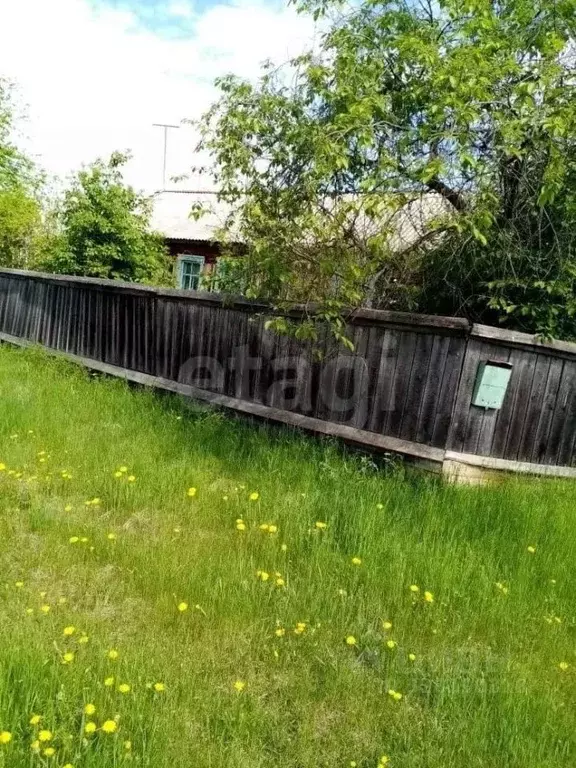 Дом в Амурская область, Зейский муниципальный округ, с. Овсянка ул. ... - Фото 1