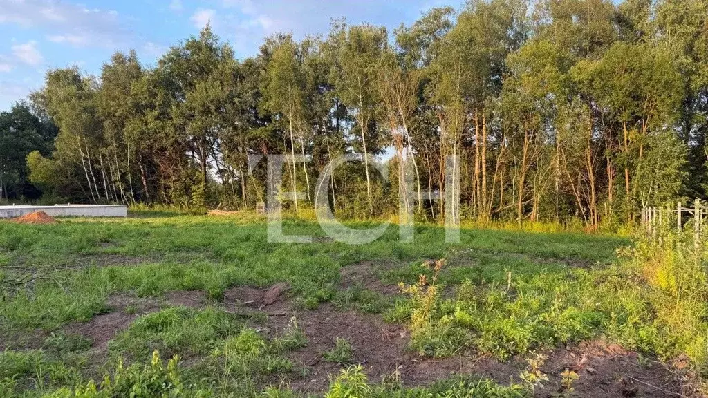 Участок в Тульская область, Тула городской округ, с. Частое ул. ... - Фото 2