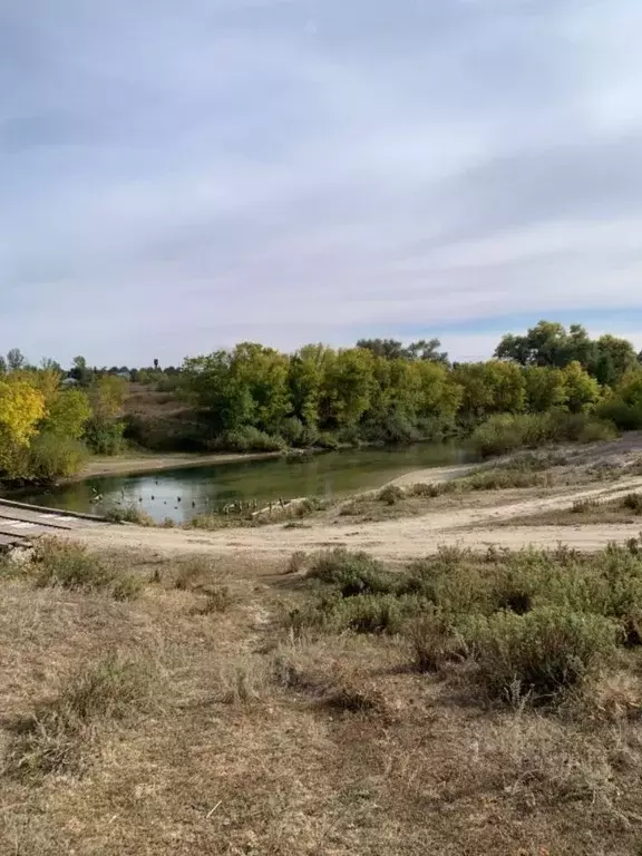Дом в Волгоградская область, Новоаннинский район, Староаннинское ... - Фото 2