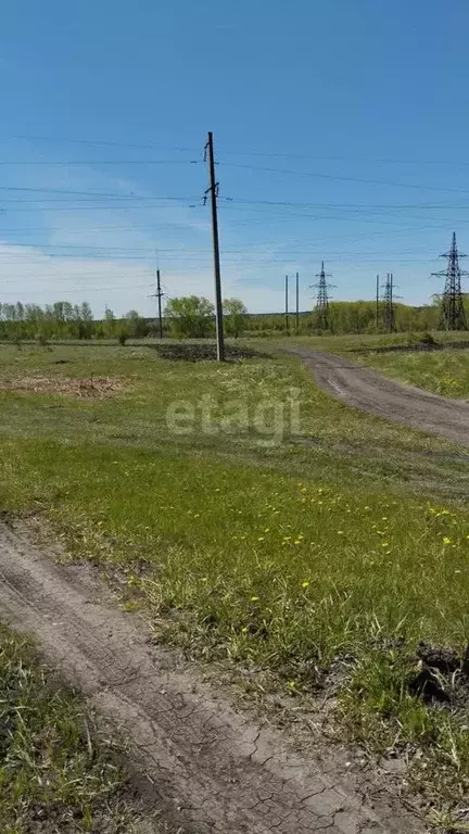 Участок в Курганская область, Шадринский муниципальный округ, с. Ключи ... - Фото 1