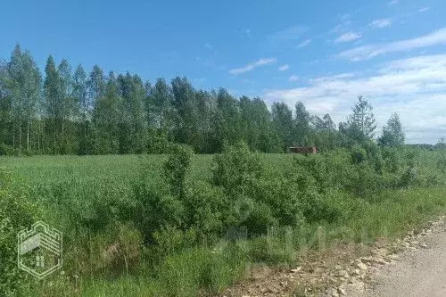 Участок в Новгородская область, Новгородский район, д. Сопки ул. ... - Фото 0