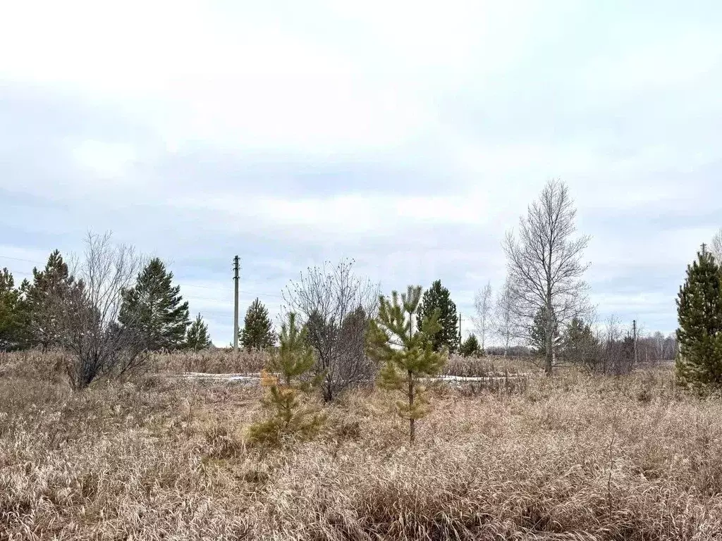 Участок в Свердловская область, Талицкий муниципальный округ, пос. ... - Фото 1