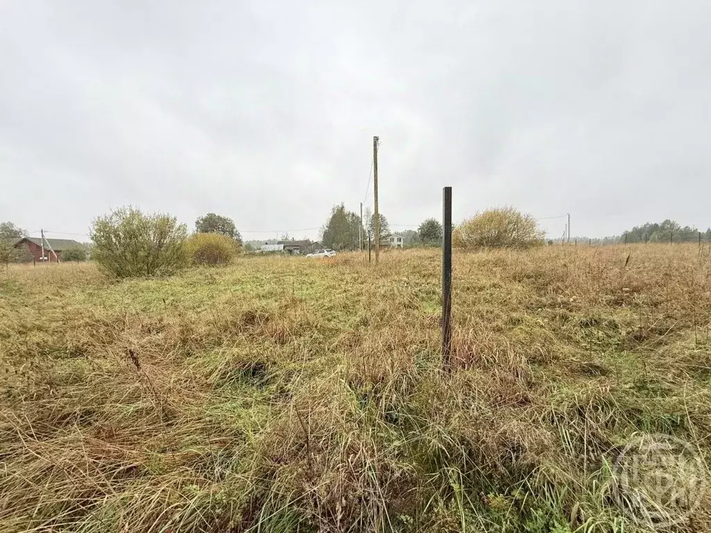 Участок в Ленинградская область, Приозерский район, Красноозерное ... - Фото 2