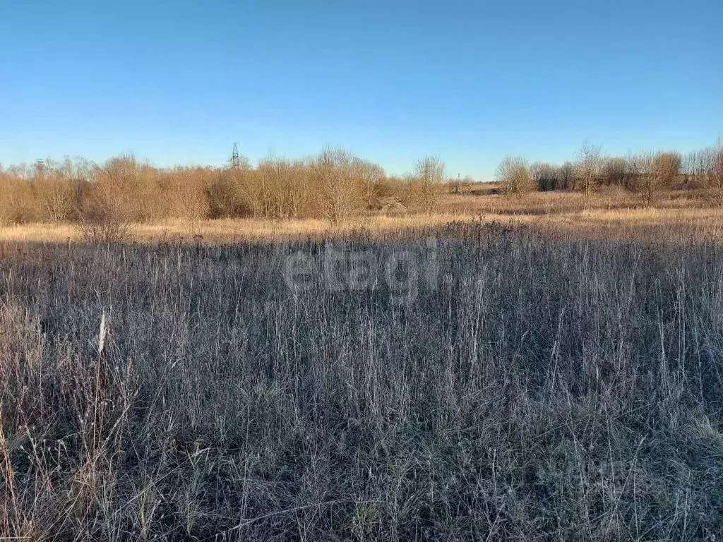 Участок в Вологодская область, Шексна рп  (12.5 сот.) - Фото 2