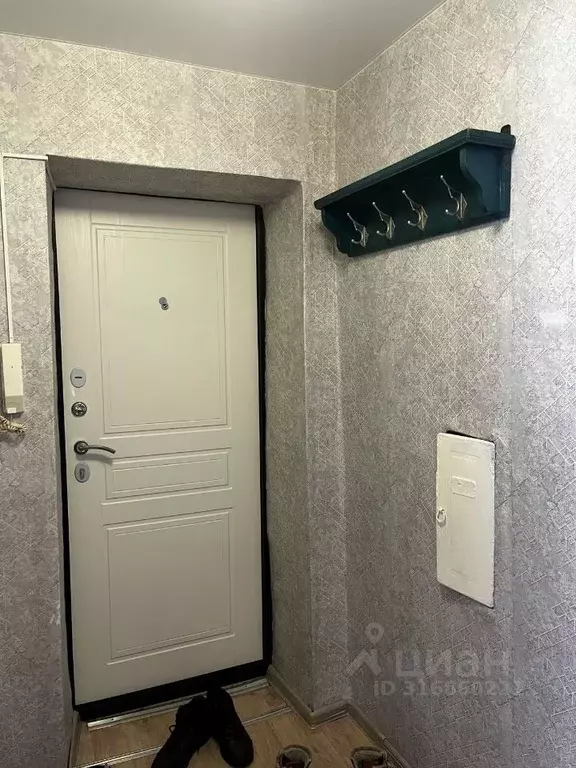1-к кв. Алтайский край, Барнаул городской округ, Южный рп просп. ... - Фото 0