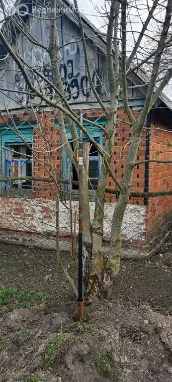 Участок в станица Каладжинская, улица Куйбышева (22.3 м) - Фото 2