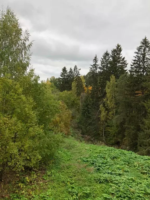 Участок в Псковская область, Стругокрасненский район, д. Ждани ... - Фото 0