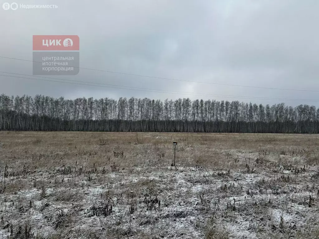 Участок в Рязанский район, Вышгородское сельское поселение, село ... - Фото 1