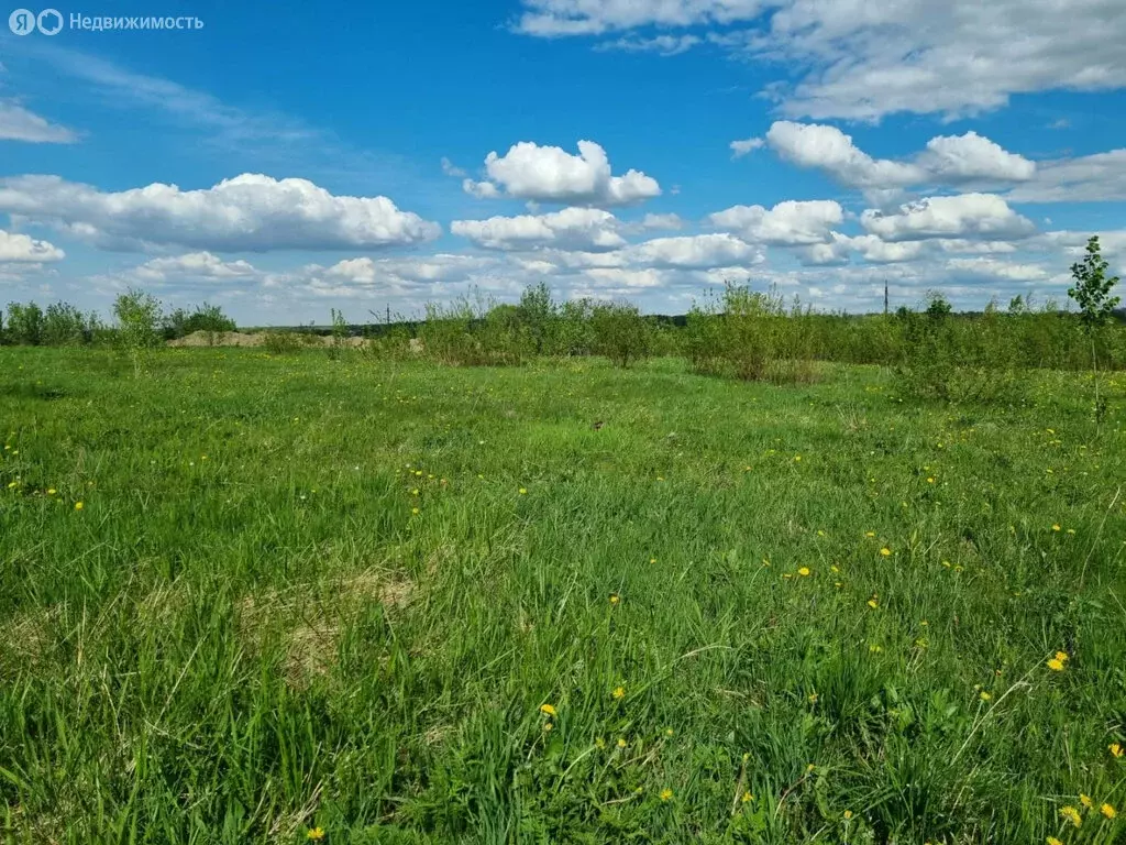 Участок в Красное Село, Красногородская улица (12 м) - Фото 0