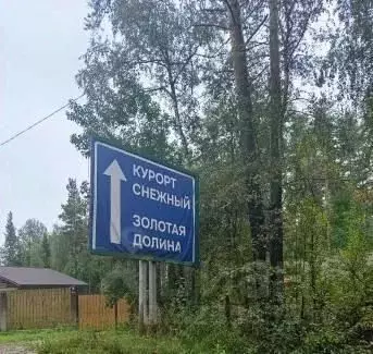 Участок в Ленинградская область, Приозерский район, Красноозерное ... - Фото 2