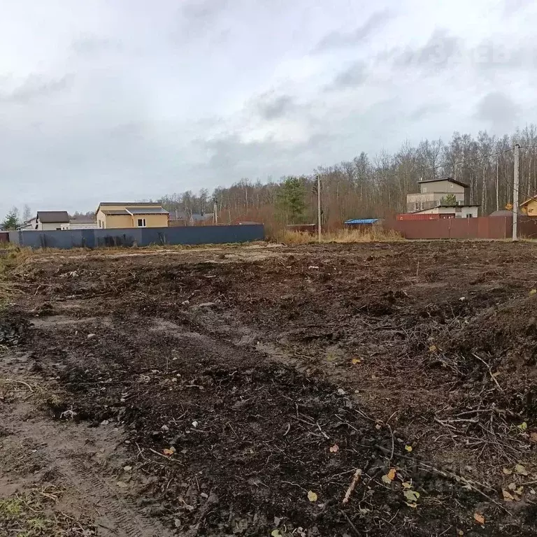 Участок в Ленинградская область, Кировское городское поселение, ... - Фото 1