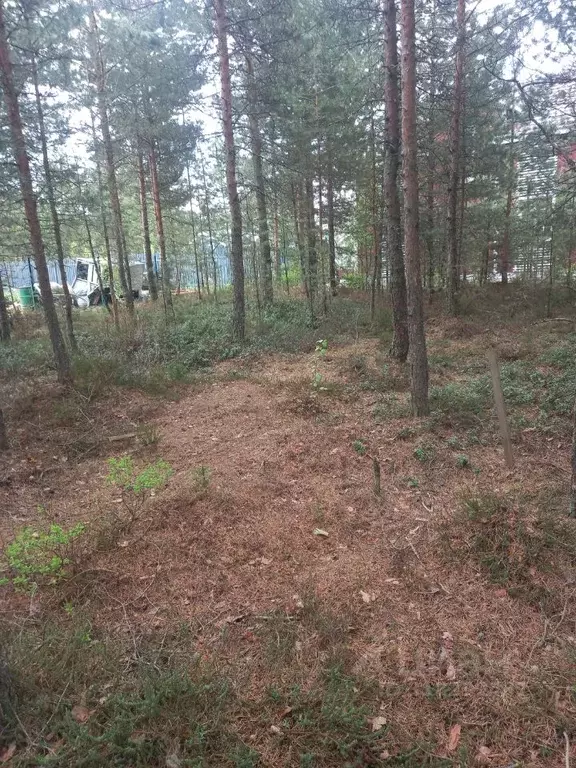 Участок в Ленинградская область, Всеволожский район, Сертоловское ... - Фото 1
