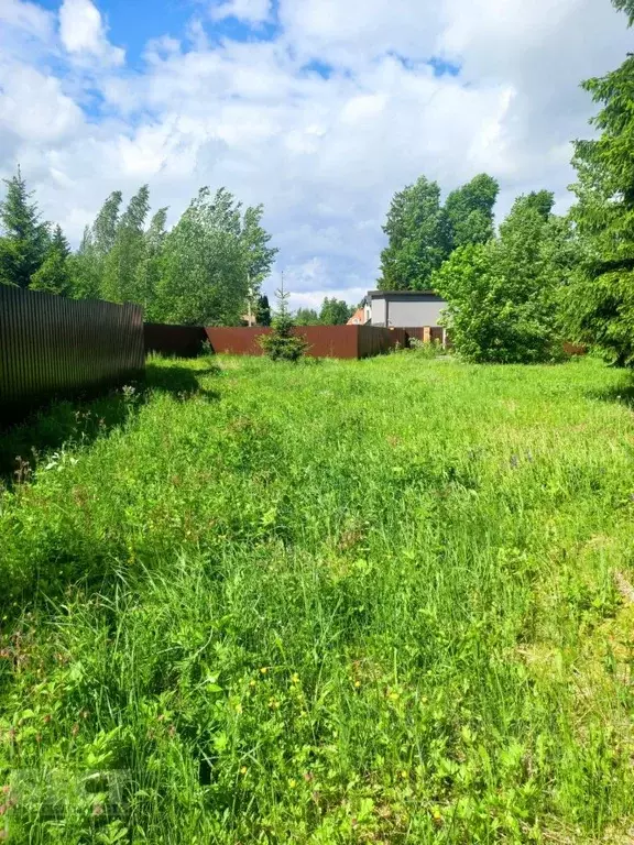 Участок в Московская область, Одинцовский городской округ, д. Сивково, ... - Фото 2