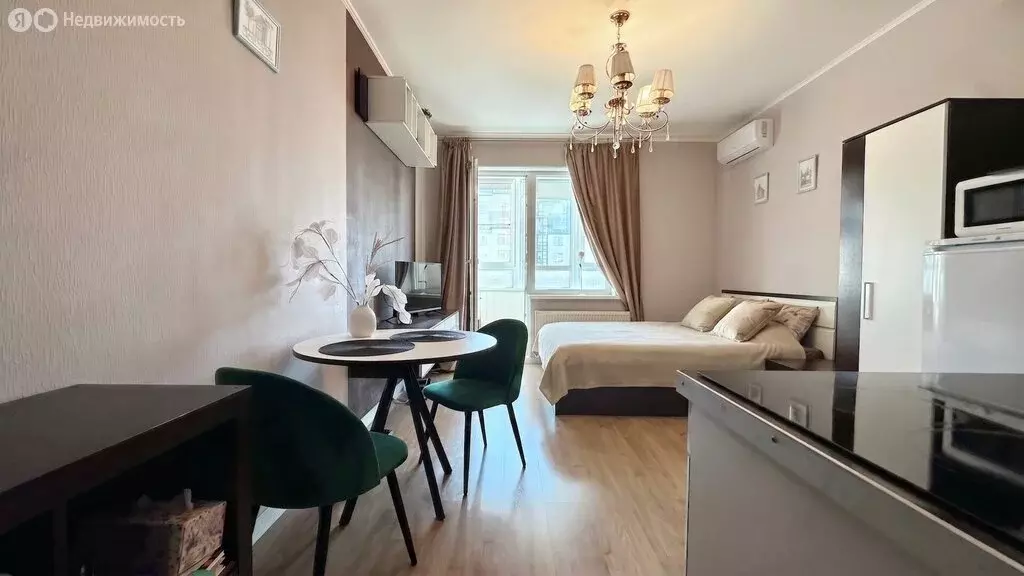 Квартира-студия: Санкт-Петербург, проспект Ветеранов, 169к2 (23.8 м) - Фото 2