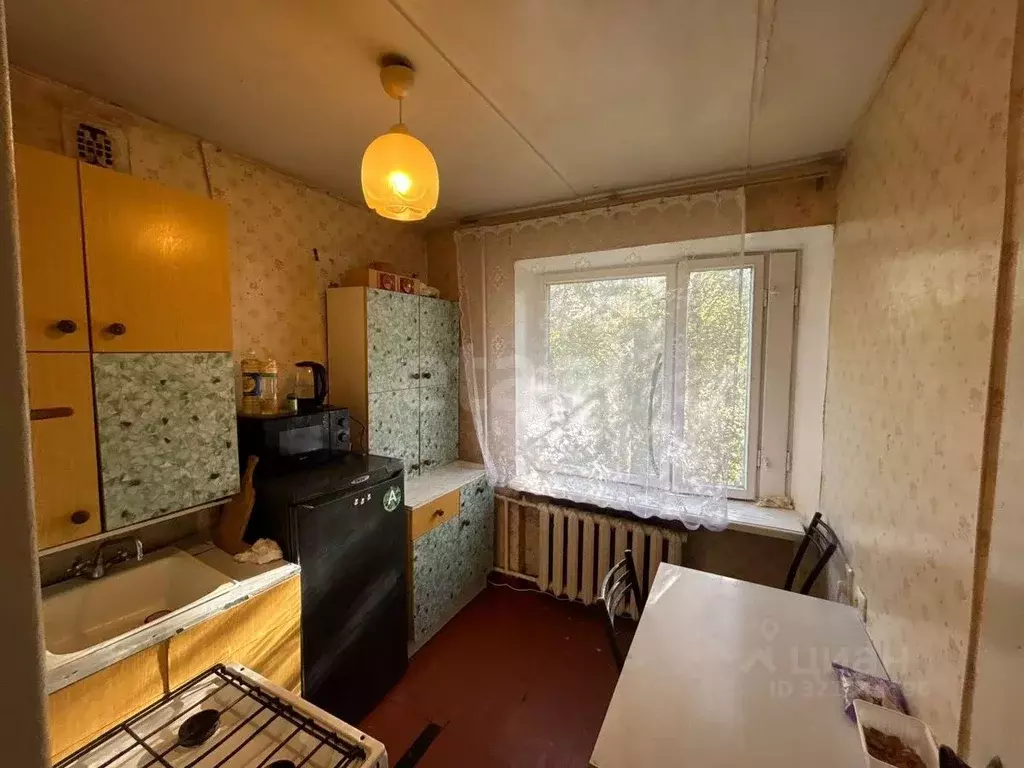 1-к кв. Псковская область, Остров ул. Шумейко, 8 (28.5 м) - Фото 1