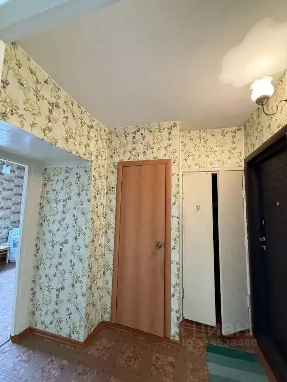 1-к кв. Алтайский край, Бийск Ударная ул., 31 (38.7 м) - Фото 1