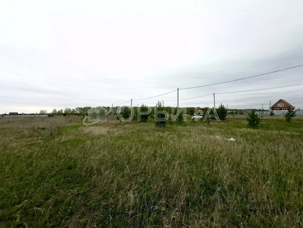 Участок в Тюменская область, Тюменский район, д. Елань, Хвойный кп  ... - Фото 0