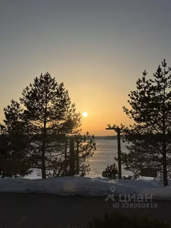 Участок в Тверская область, Конаково Пригородная ул. (8.0 сот.) - Фото 2