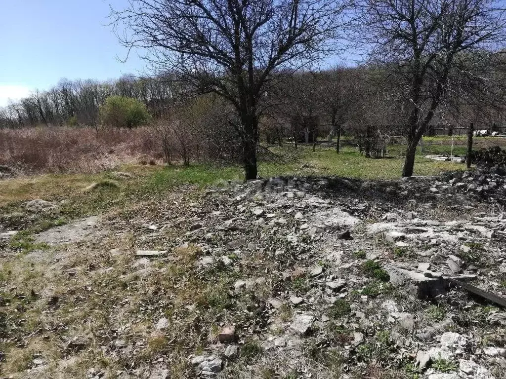 Участок в Амурская область, Благовещенский район, Луч СТ  (11.0 сот.) - Фото 1