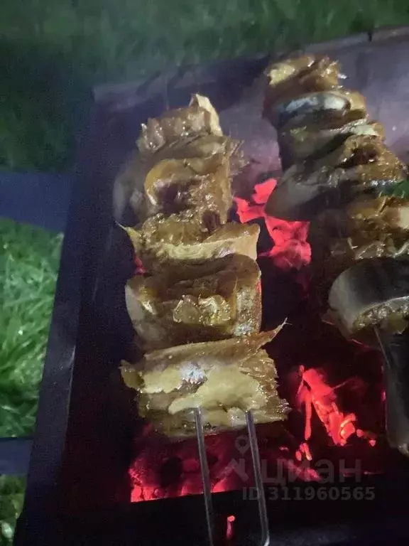 Дом в Ставропольский край, Пятигорск городской округ, с. Золотушка ... - Фото 2