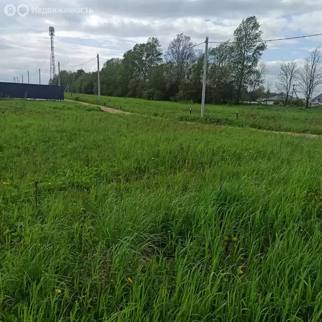 Участок в Кипенское сельское поселение, КП Новая Ропша (7.2 м) - Фото 2