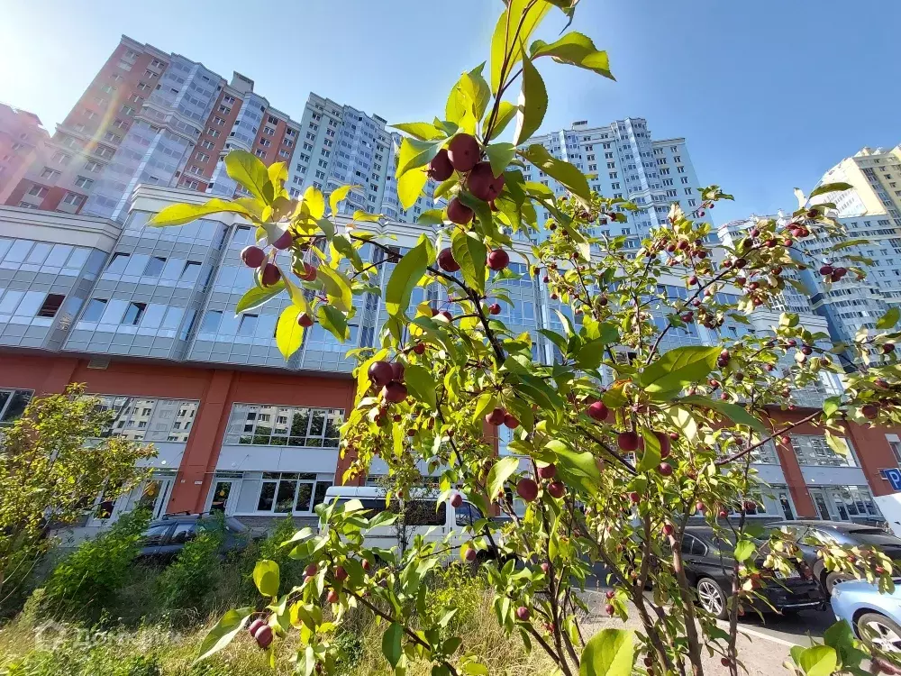 Продаётся 1-к квартира, 41.6 м - Фото 1