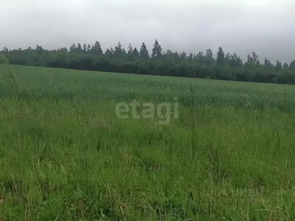 Участок в Калужская область, Перемышльский район, Покровское с/пос, д. ... - Фото 1