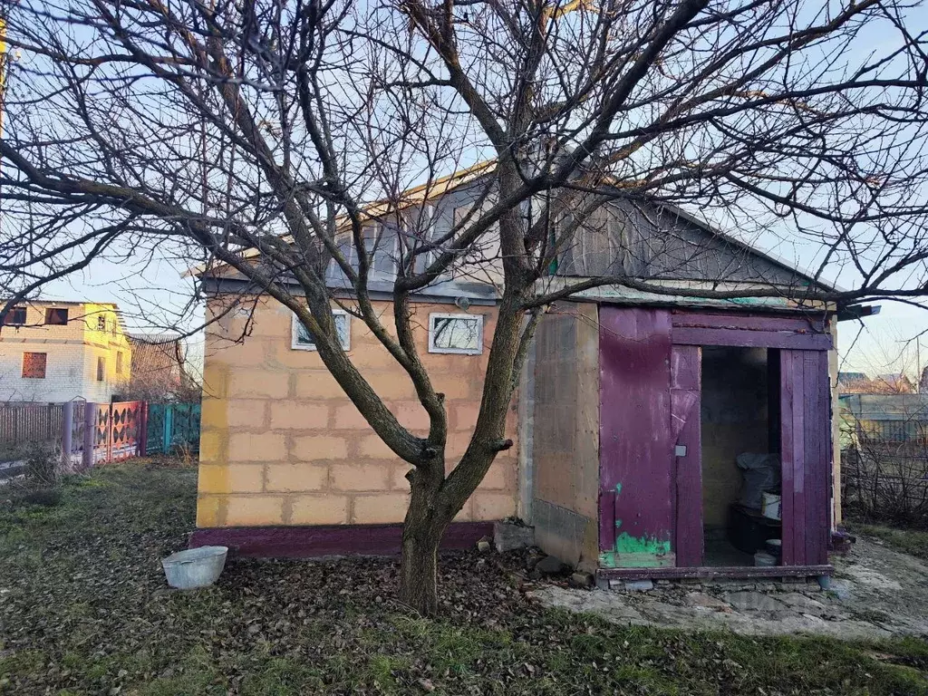 Дом в Курская область, Курский район, Новопоселеновский сельсовет, ... - Фото 0