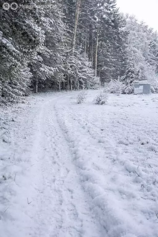 Участок в Владимирская область, Ковровский муниципальный округ, СОНТ ... - Фото 1