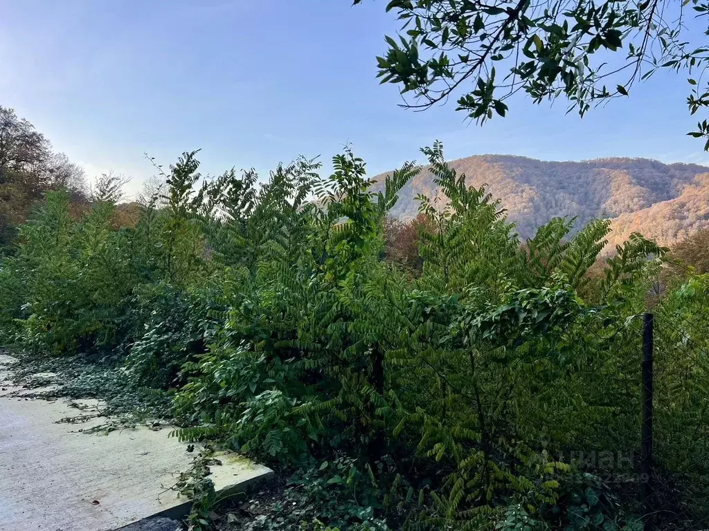 Участок в Краснодарский край, Сочи Каштан садоводческое товарищество,  ... - Фото 0