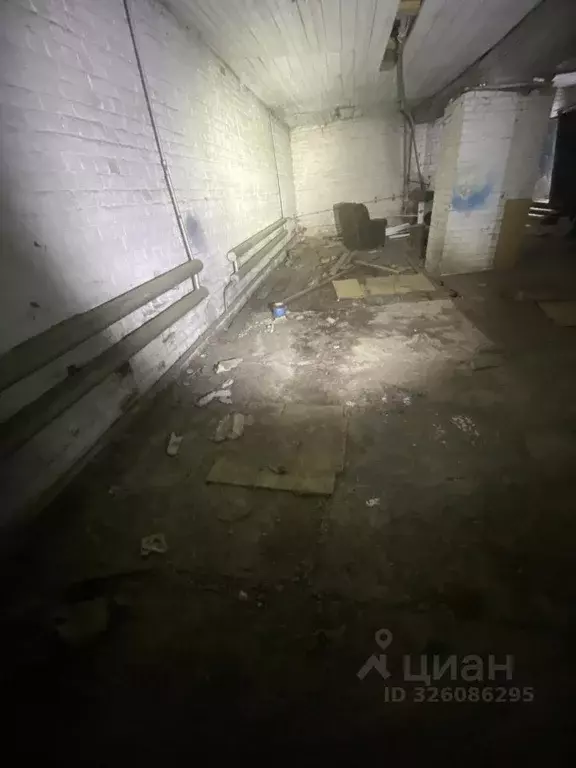 Помещение свободного назначения в Удмуртия, Сарапул ул. Раскольникова, ... - Фото 2