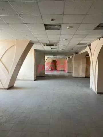 Торгово-офисный 2-й этаж с трафиком 711,3 м - Фото 0