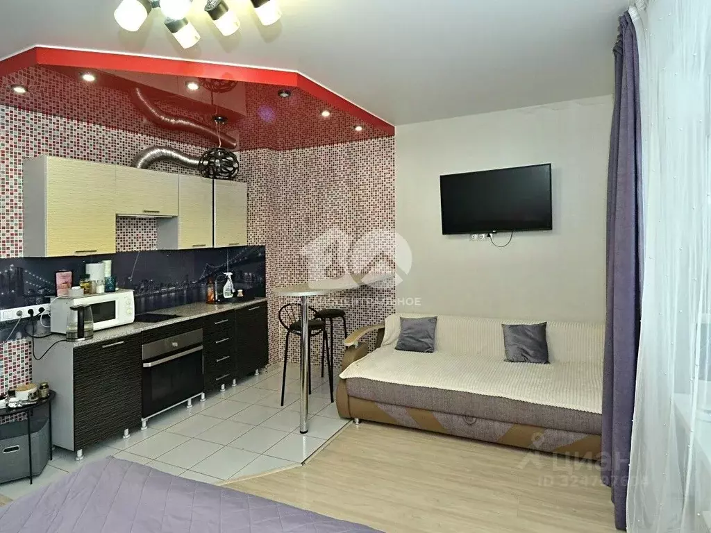 Студия Новосибирская область, Новосибирск Ипподромская ул., 75 (29.4 ... - Фото 1