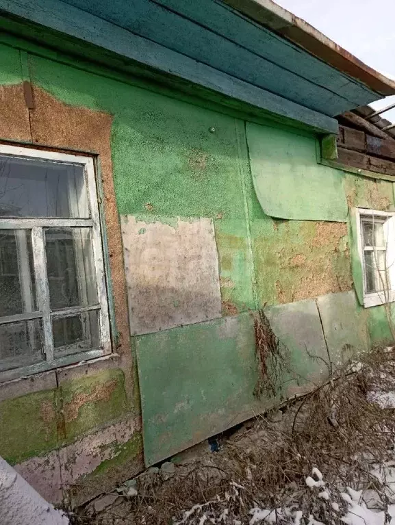 Дом в Курганская область, Макушино ул. Ленина (46 м) - Фото 1