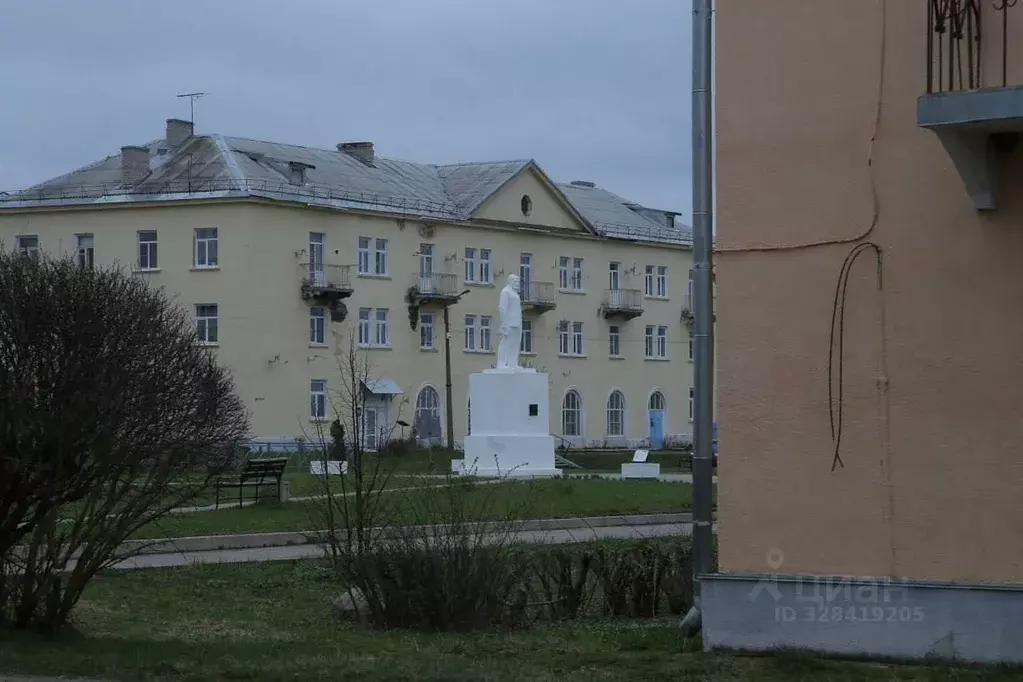 Помещение свободного назначения в Псковская область, Плюсский ... - Фото 1