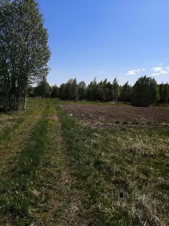 Участок в Ленинградская область, Всеволожский район, Рахьинское ... - Фото 0