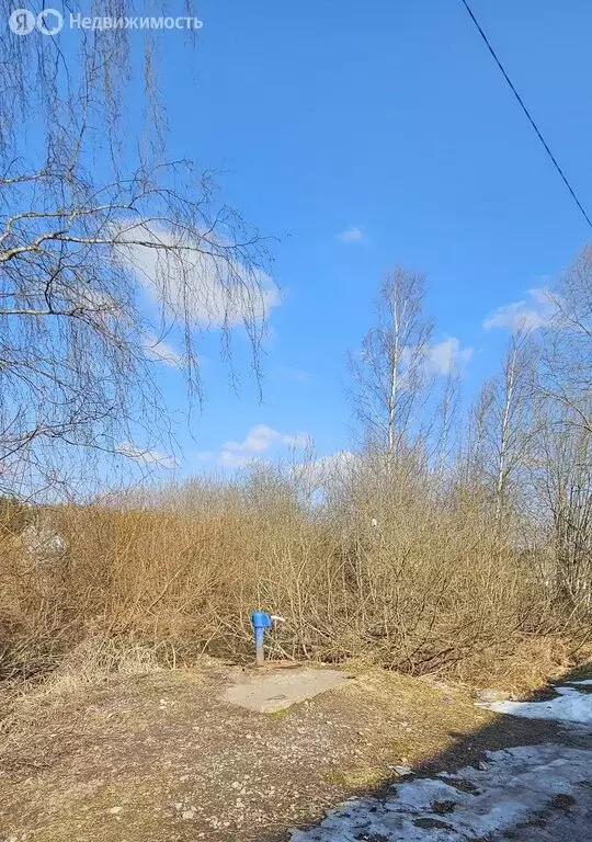 Участок в городской посёлок Форносово, Вокзальная улица (10 м) - Фото 1