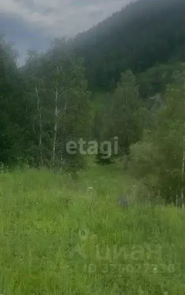 Участок в Алтай, Шебалинский район, с. Дъектиек ул. Центральная (10.0 ... - Фото 1