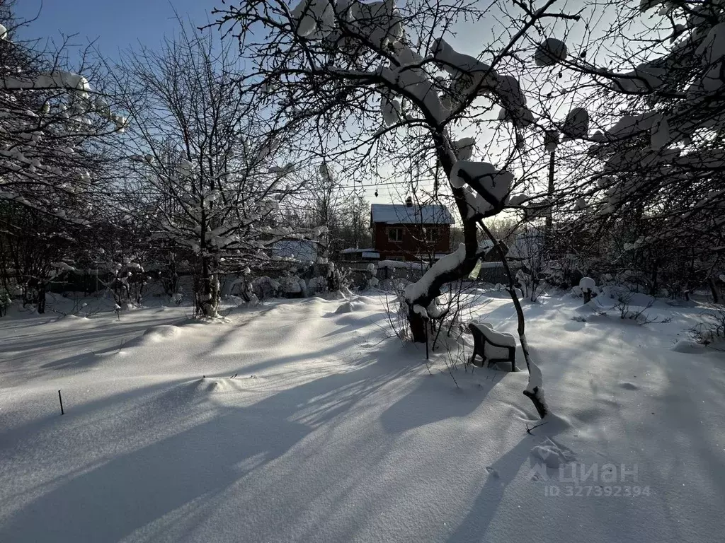Участок в Московская область, Одинцовский городской округ, Большие ... - Фото 2